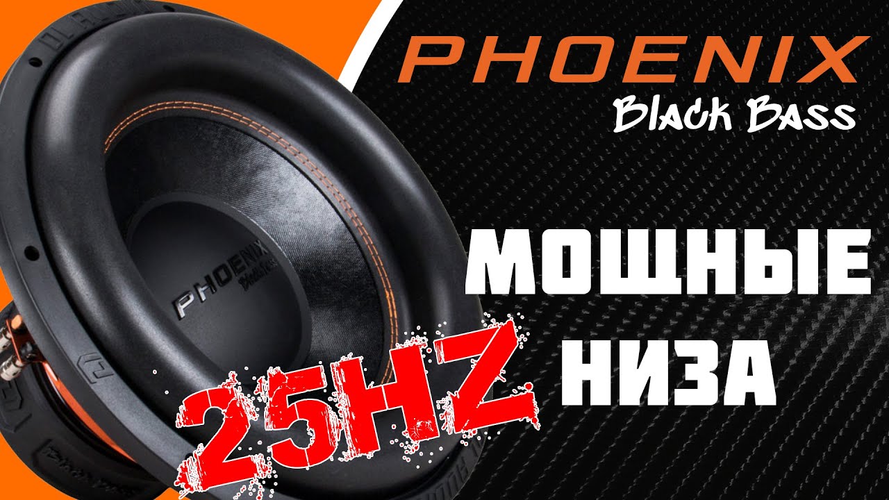 Черный бас 25Hz - обзор сабвуфера Phoenix Black Bass 15