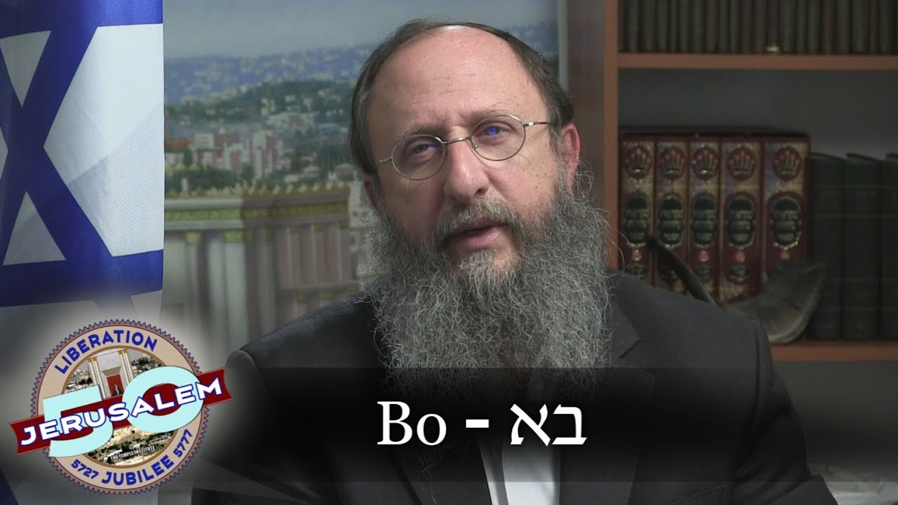 Weekly Torah Portion: Bo