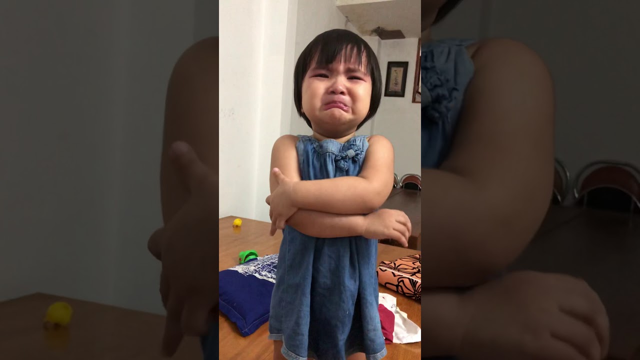 Bé kitty bị mẹ phạt vì không chịu ăn cơm siêu dễ thương
