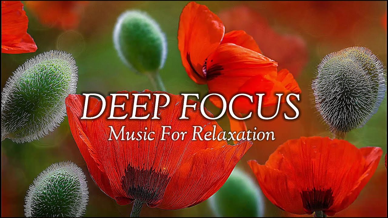 Beautiful Poppy Flower & Peaceful Relaxing Music | Sleep, Calm Music