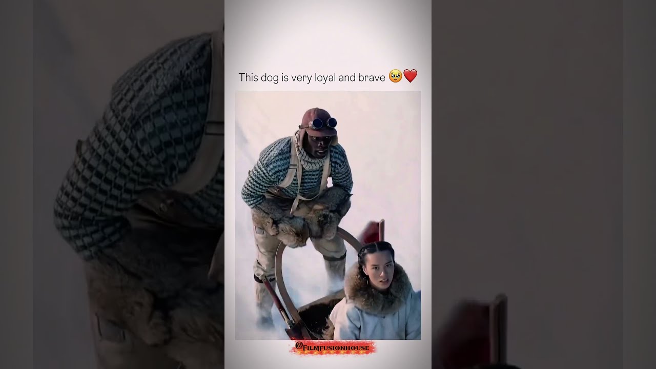 This dog is very loyal and brave ❤️‍🩹 