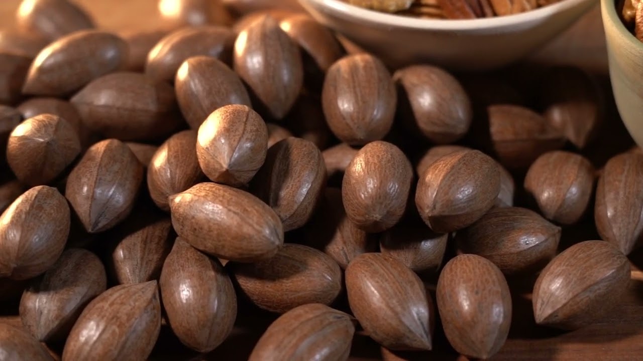 SA Pecans Corporate