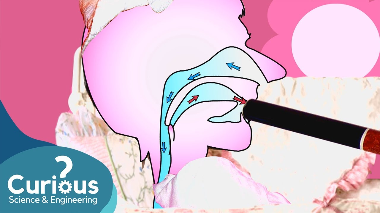 Why Do We Snore? | ExperiMental | Curious?: Science and Engineering