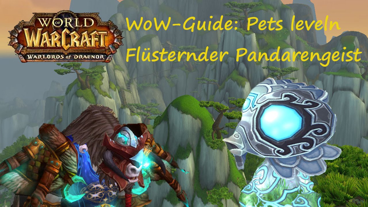 WoW-Guide: Pet-Leveln mit Flüsternder Pandarengeist