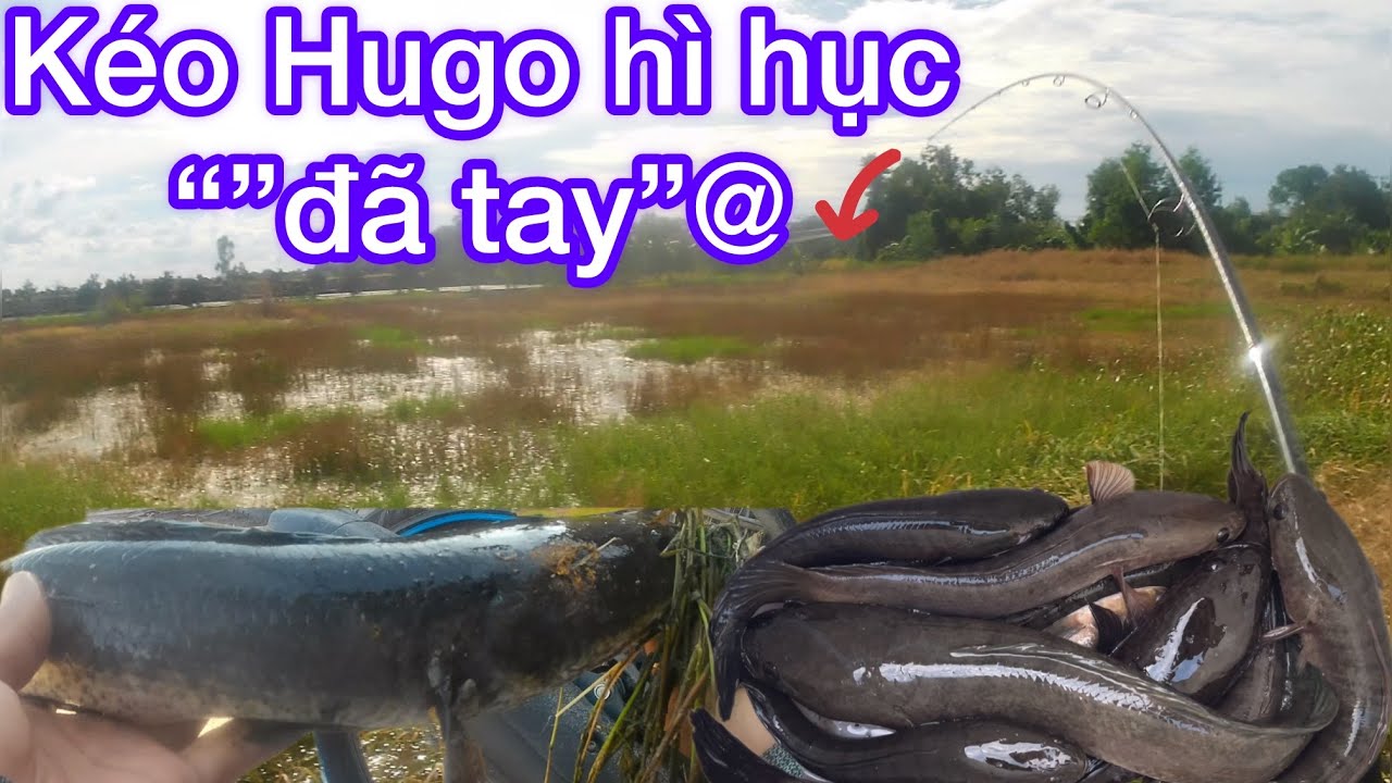 thư giãn cuối tuần cùng ae''''kéo hugo ta nói nó sướng gì đâu'''' \thư giãn dân dã.05