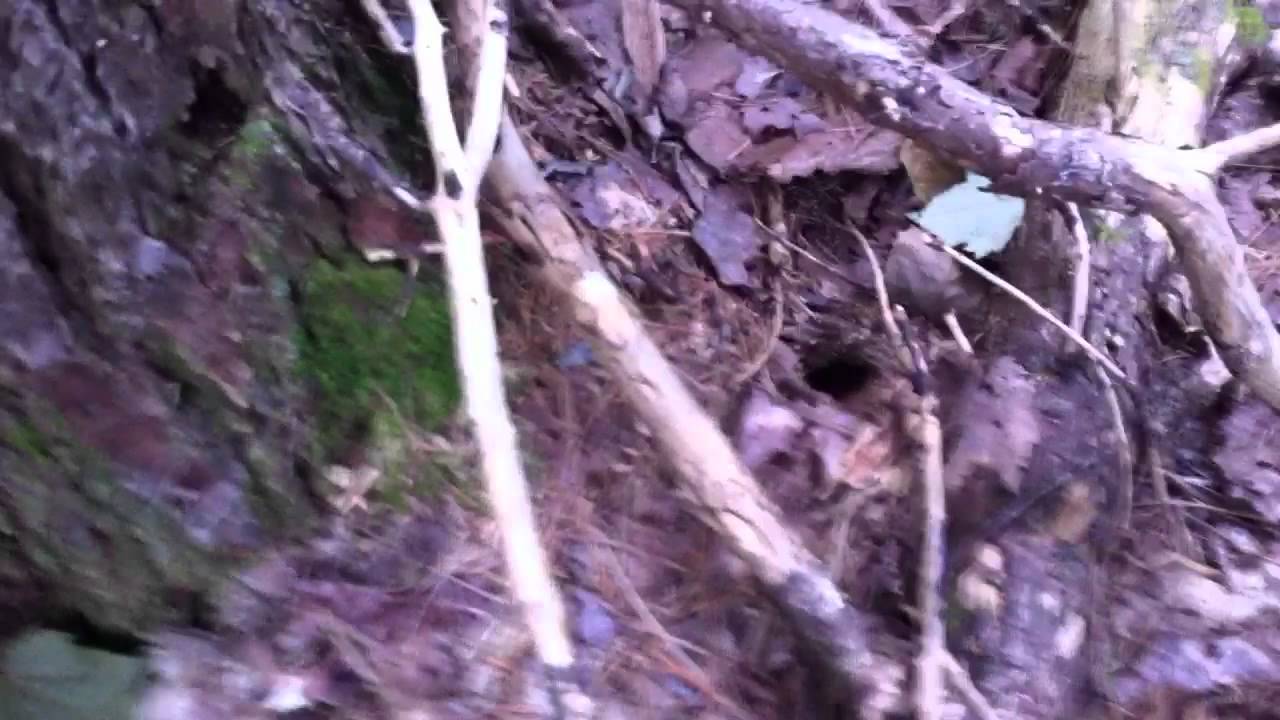 WHERE NOT TO HIDE A GEOCACHE!