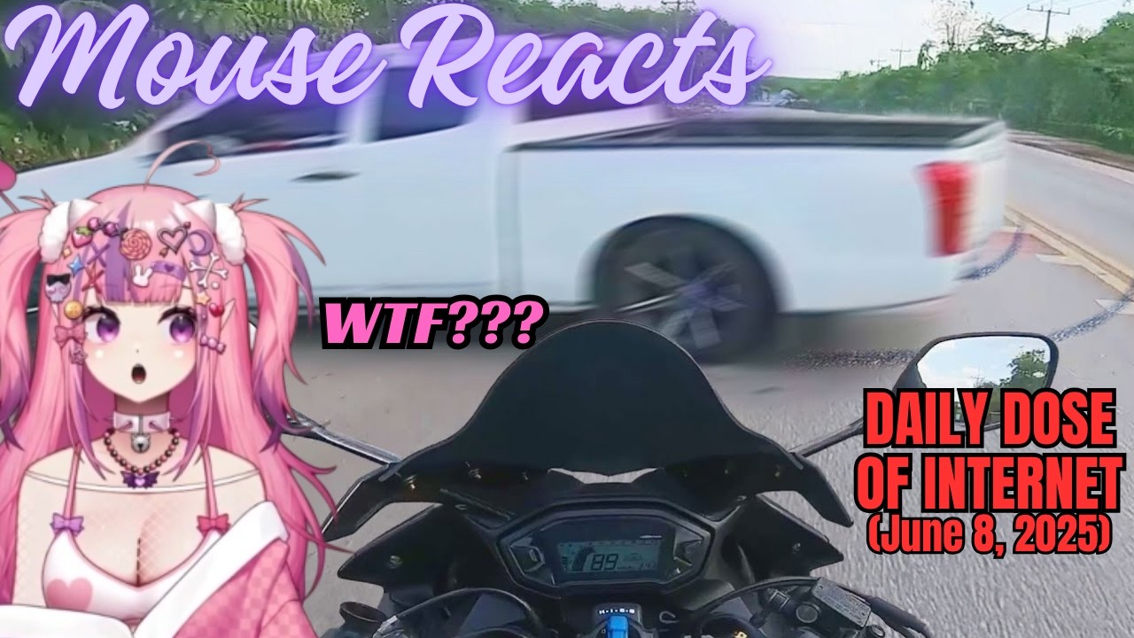 Mouse Reacts to Daily Dose of Internet: Craziest Close Calls Ever Recorded (June 8, 2025)