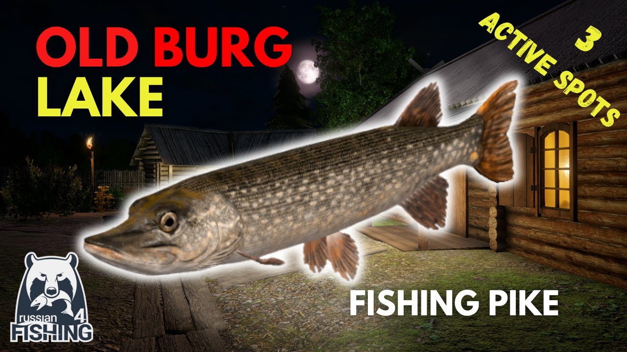 RF4 - Fishing Pike | The 3 most active spots | Old Burg Lake