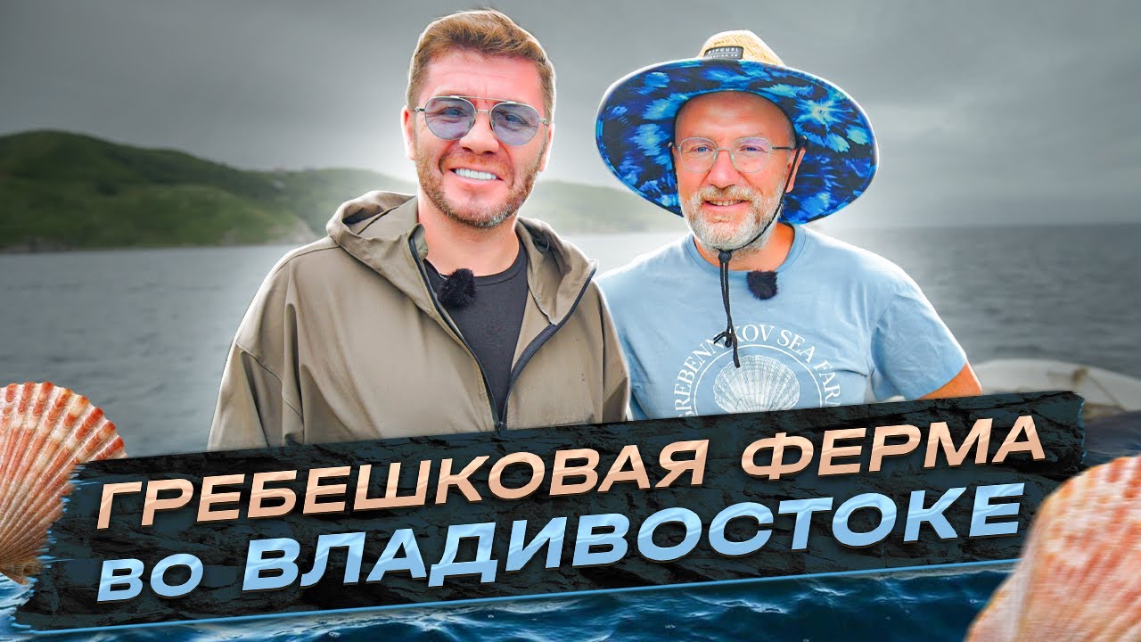 Гребешковая ферма во Владивостоке