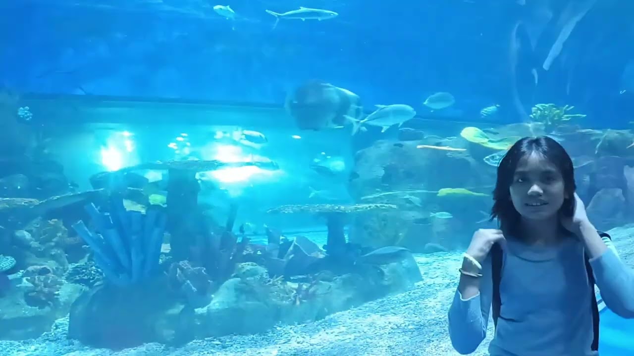 Manila Ocean Park | RiRi's 3rd Birthday |  November 15,2025 | Saturday | Full Video | Part 1