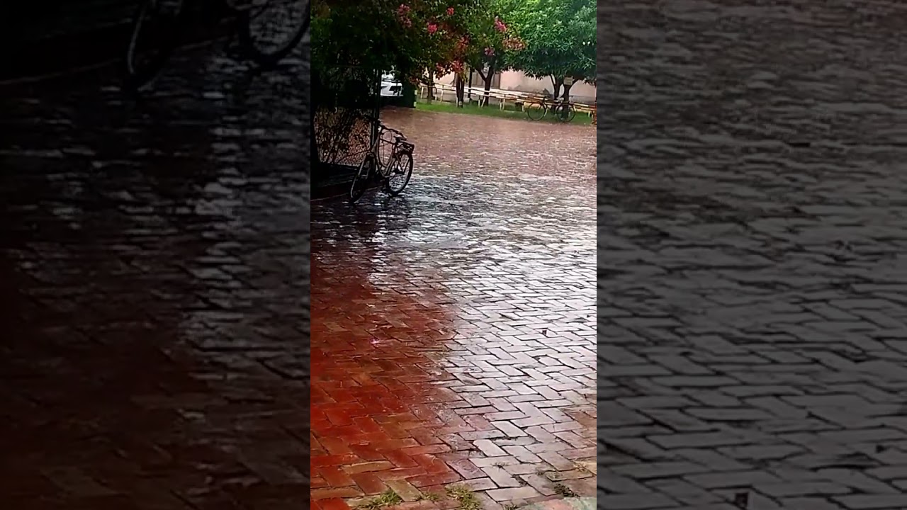 #rainyda