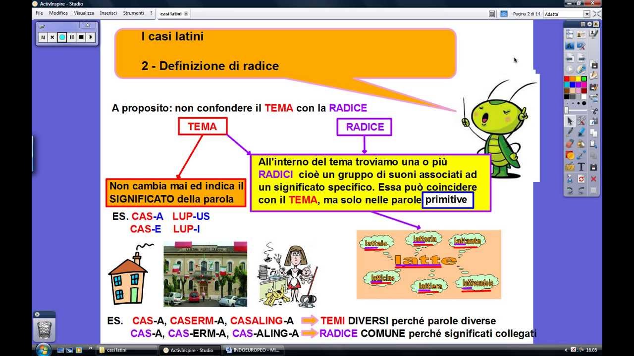 I casi latini: cosa sono?