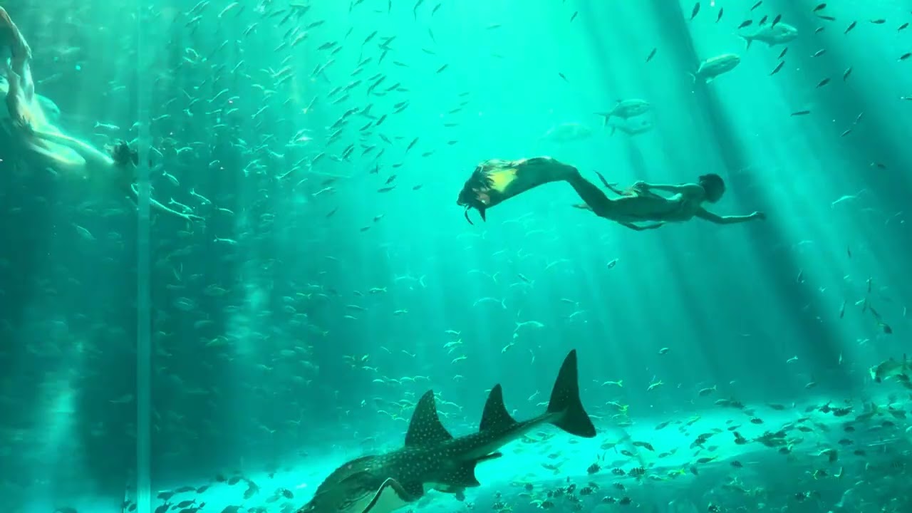 PHU QUOC diaries part 3…Vin Wonders (don’t miss the mermaid show)