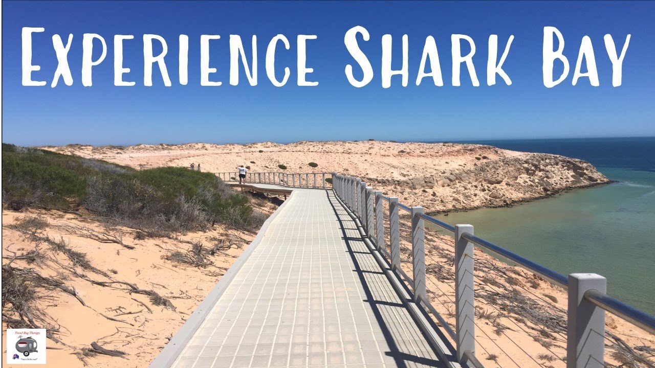 SHARK BAY - Seeing is Believing!! | Exploring Australia's Greatest World Heritage Area