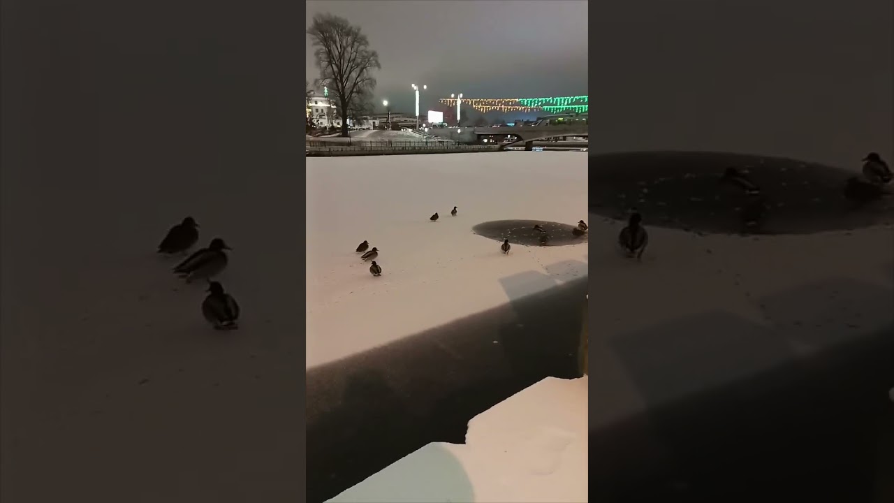 Спасибо за гостеприимство белорусы !!!