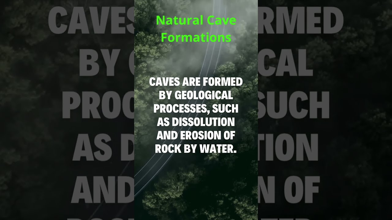 Nature's Echoes