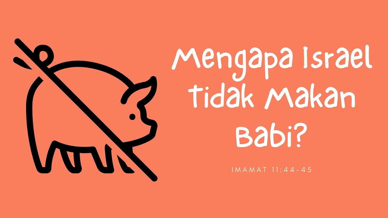 Mengapa Israel Tidak Makan Babi? | Imamat 11 : 44 - 45