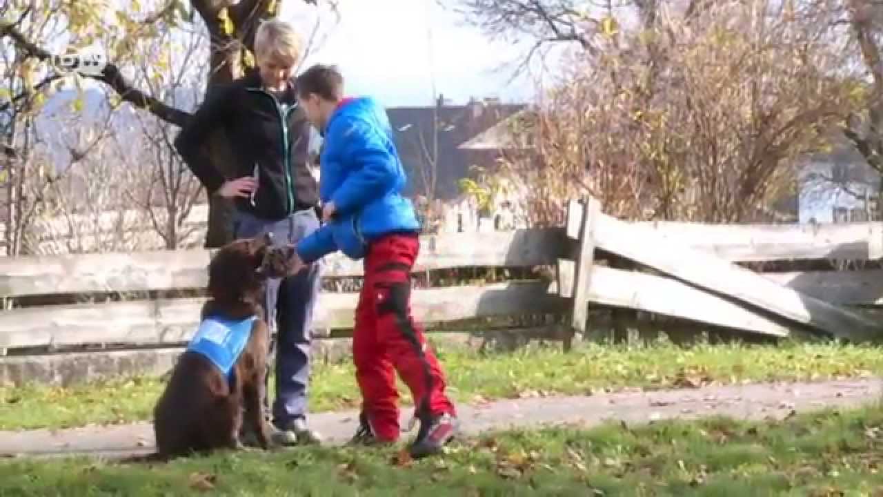 Der helfende Hund | Journal