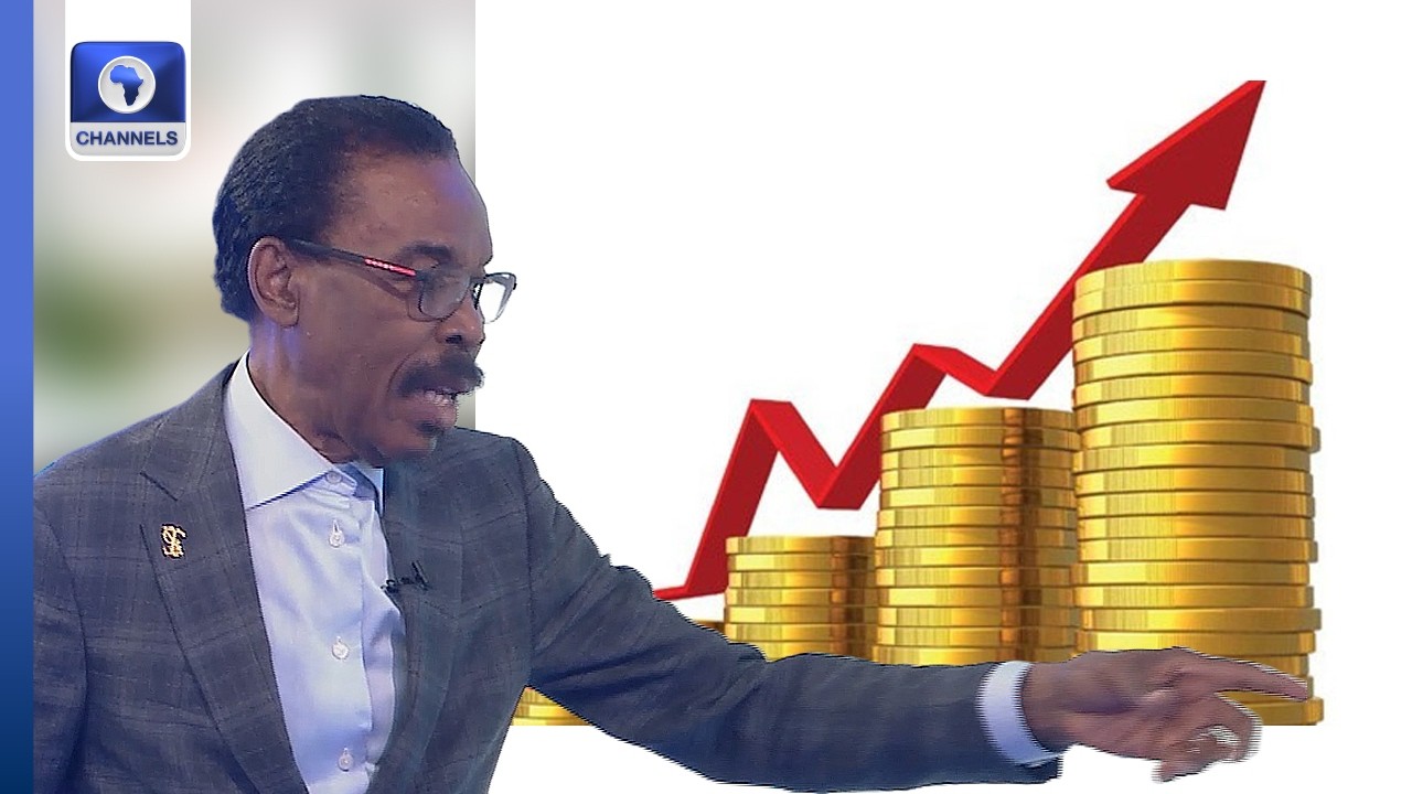 Naira Should Gain As PMS Price Increases - Rewane