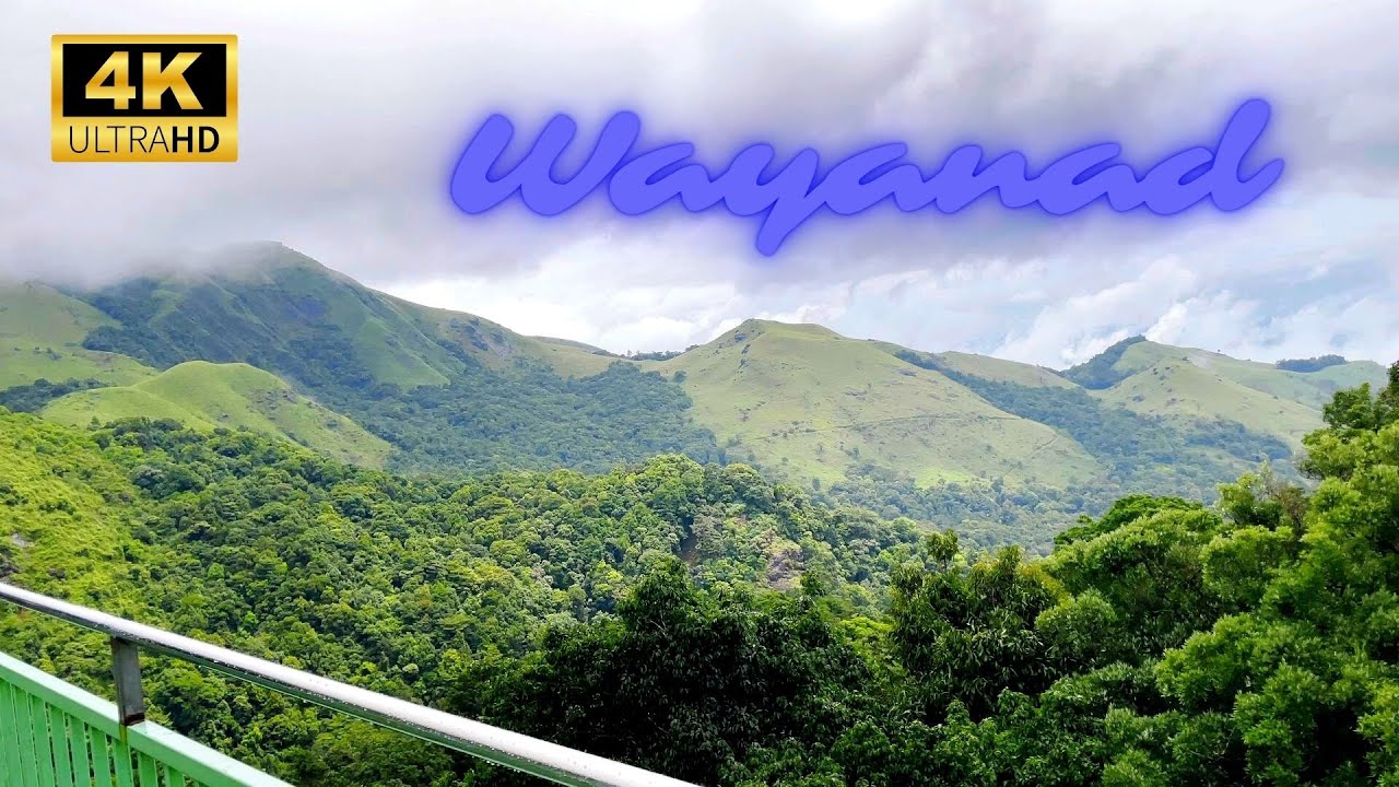 Wayanad Trip 4K | Kerala