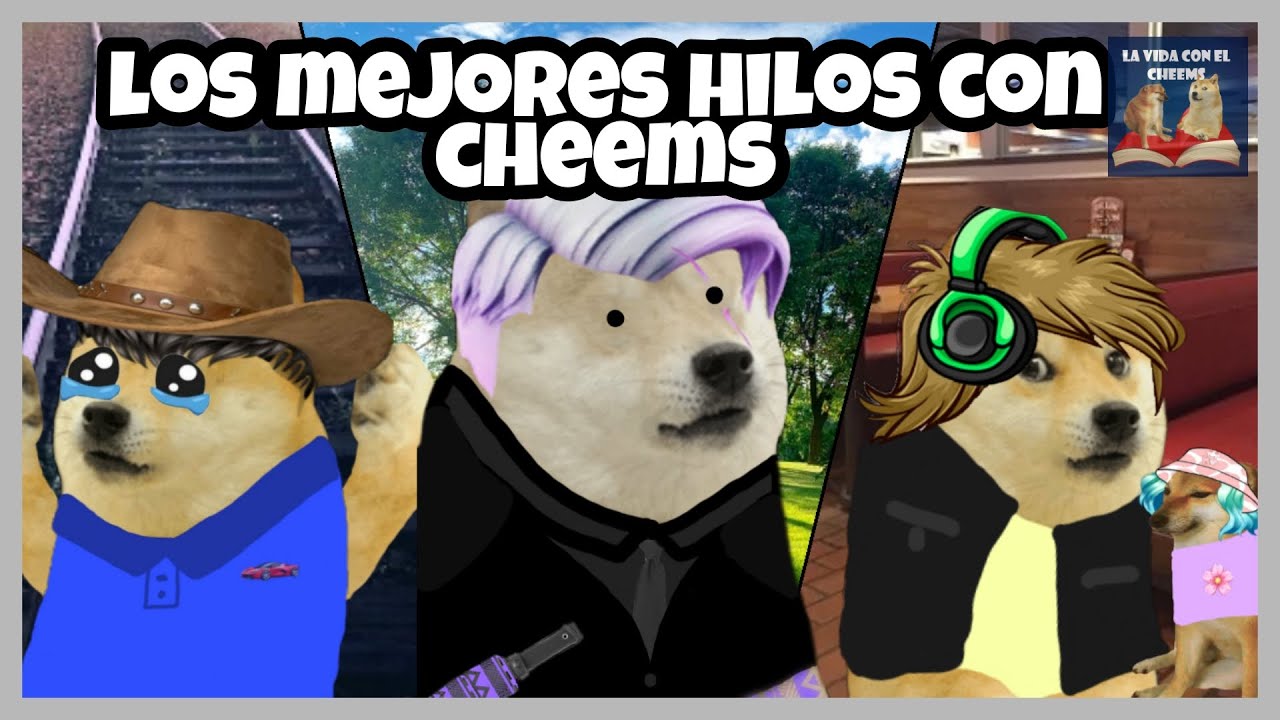 Nuestros mejores hilos con Cheems | La vida con el Cheems