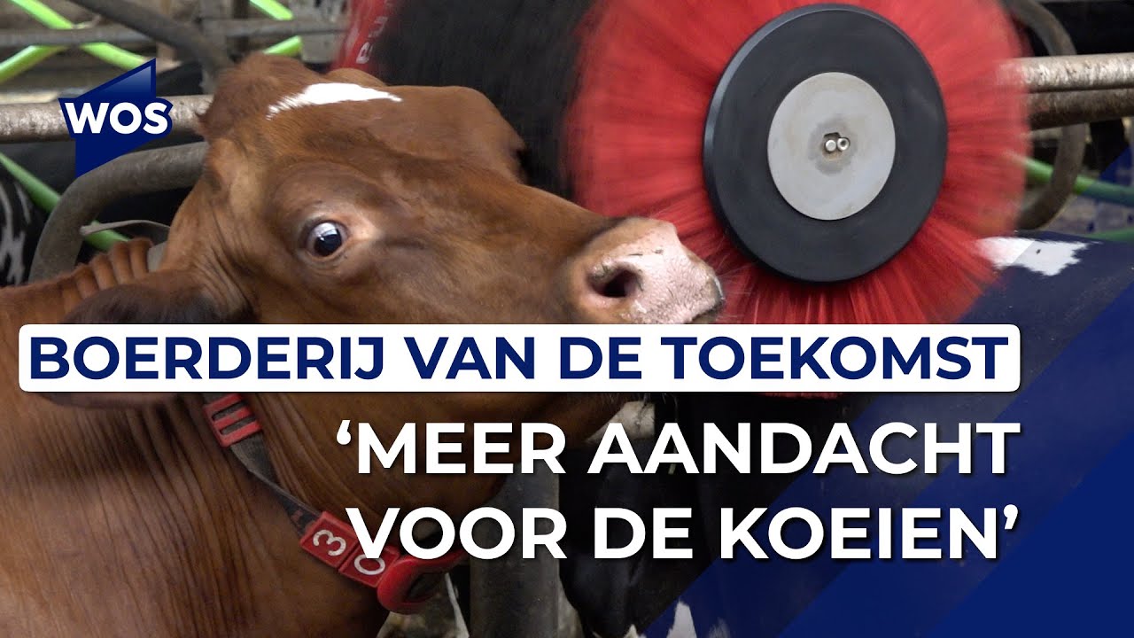 Robots doen het werk in boerderij van Lely