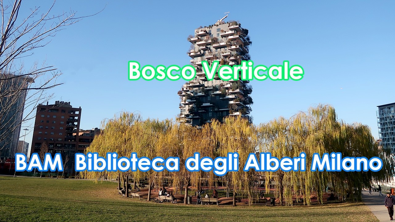 BAM Biblioteca degli Alberi Milano walk december