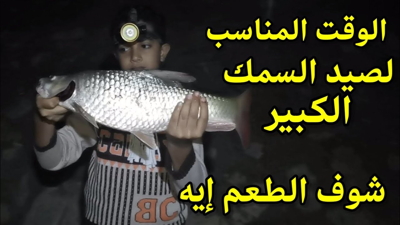 الوقت المناسب لصيد السمك الكبير والطعمه الجهنميه#hook_fishing  #bigfish