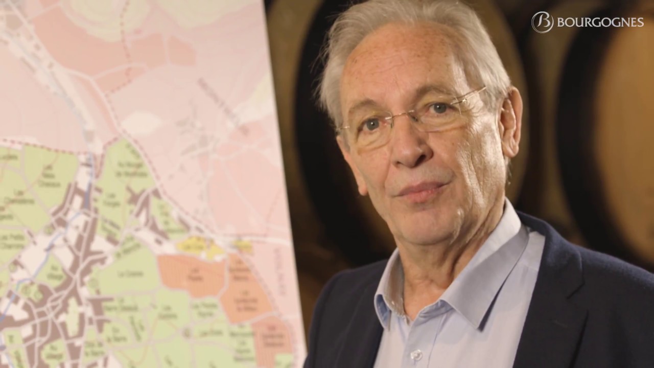 L'appellation Meursault décryptée par sa géologie et sa géographie
