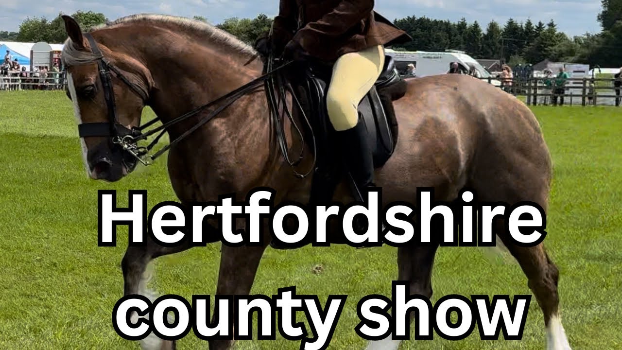 THATS SHOWING FOR YOU 🤦‍♀️ | Hertfordshire County Show Ridden C&D’s Show Vlog