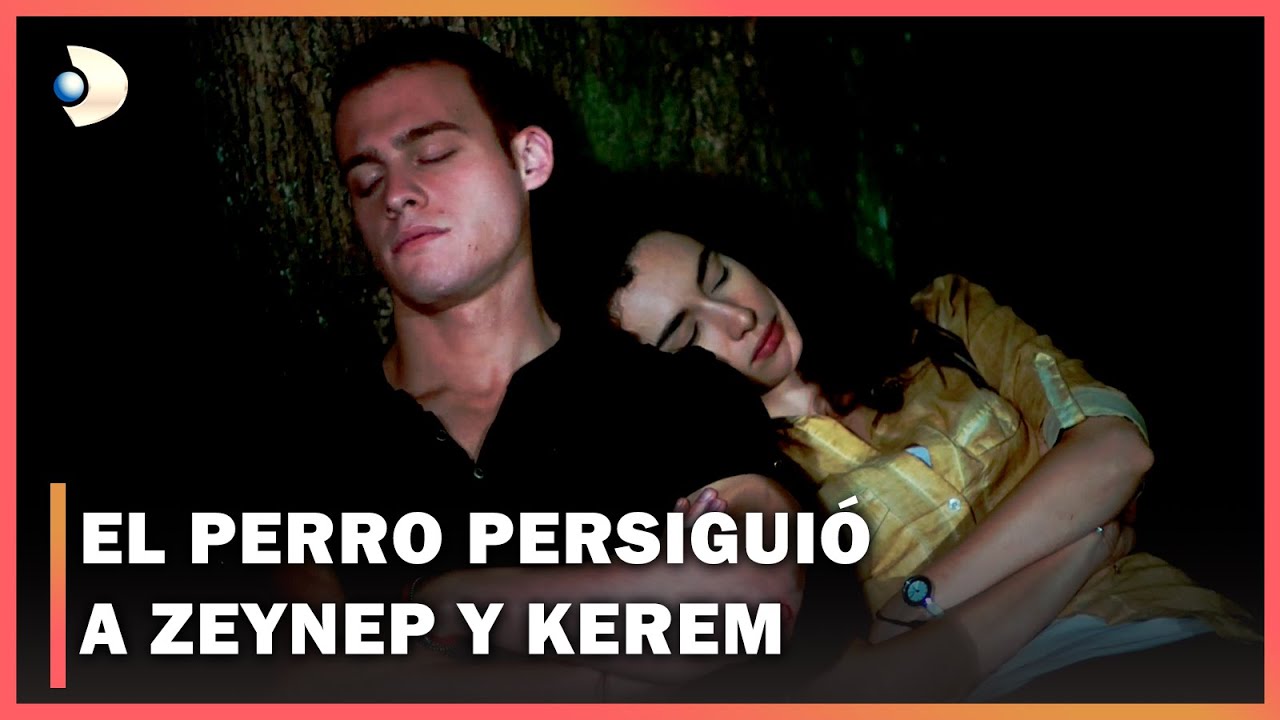 Esperando El Sol Español - Zeynep y Kerem Persiguieron Al Perro - Sección 3