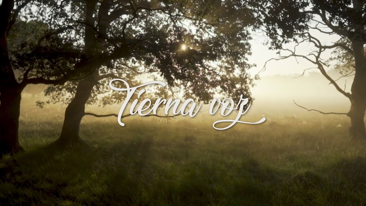 Tierna voz - Gentle Voice