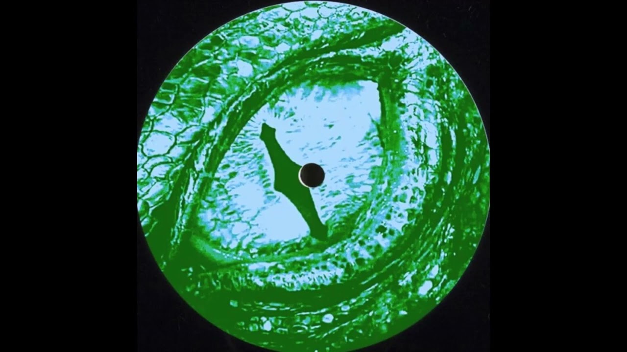 Slim Sinna - Eye of the Dragon