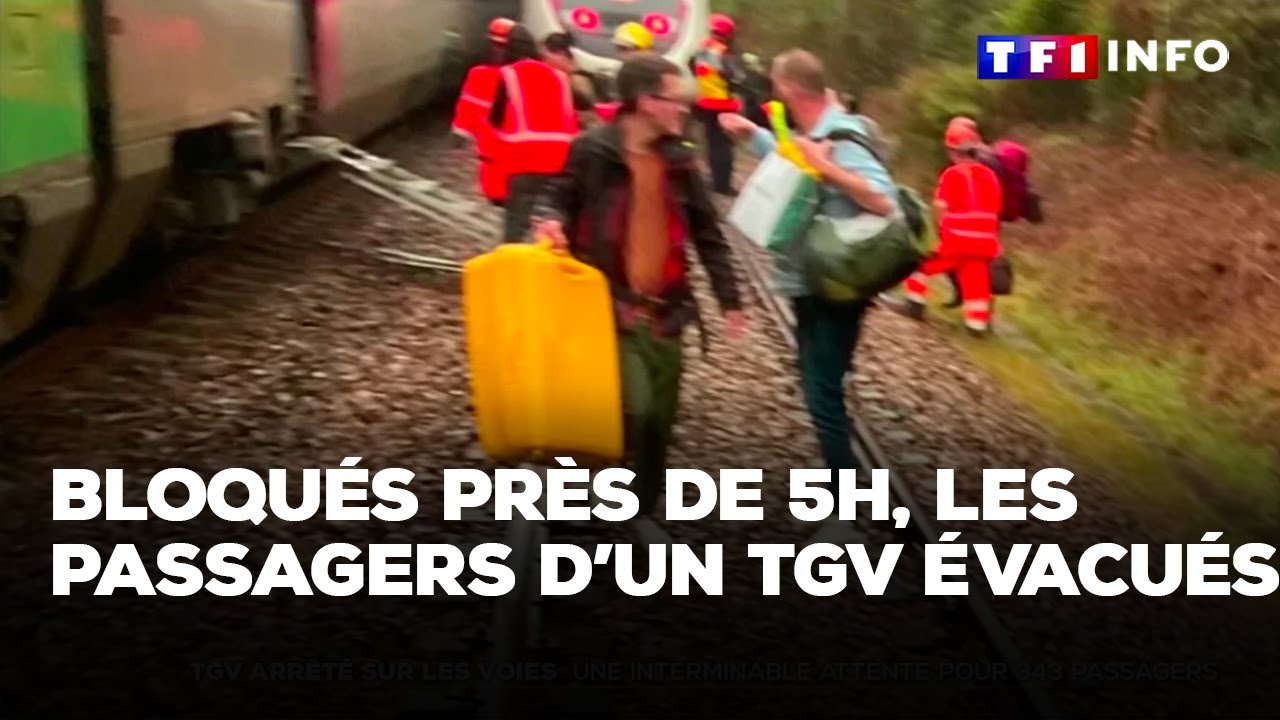 Bloqués près de 5h, les passagers d’un TGV évacués par les pompiers