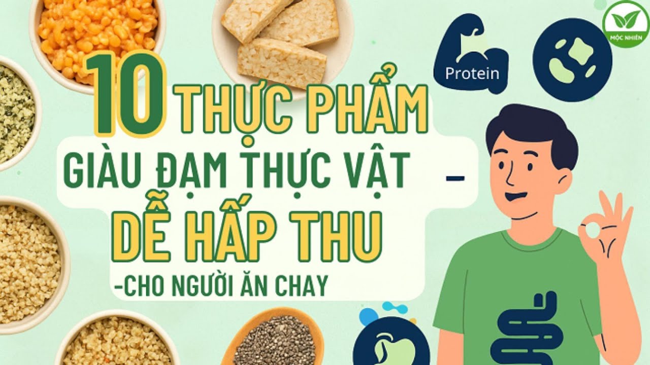 Top 10 Thực Phẩm Giàu Đạm Thực Vật – Dễ Hấp Thu, Dành Cho Người Ăn Chay Khỏe Mạnh