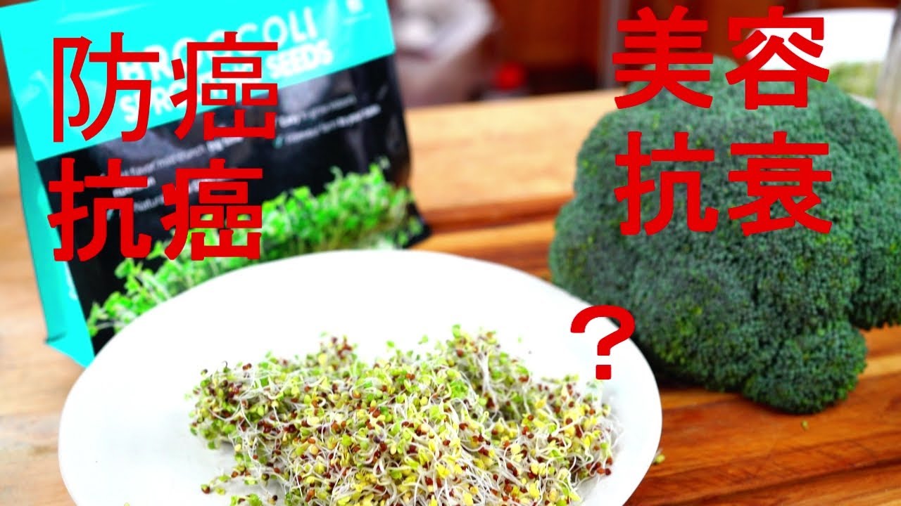 抗癌第一苗？专家眼里的“抗癌斗士”， 在家几天就发好了！