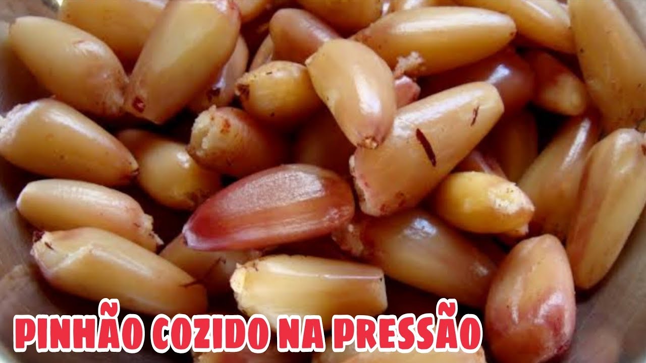 COMO FAZER PINHÃO COZIDO NA PANELA DE PRESSÃO EM 20 MINUTOS | Dica Preparando E Descascando Pinhão