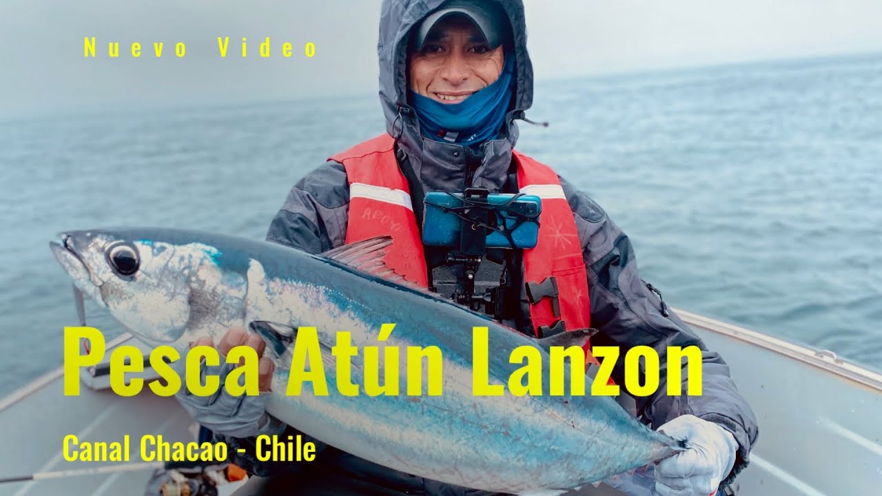 Pesca de Atún .... / TIENDA P3SCATORE / Canal de Chacao 💪💪🐟🐟