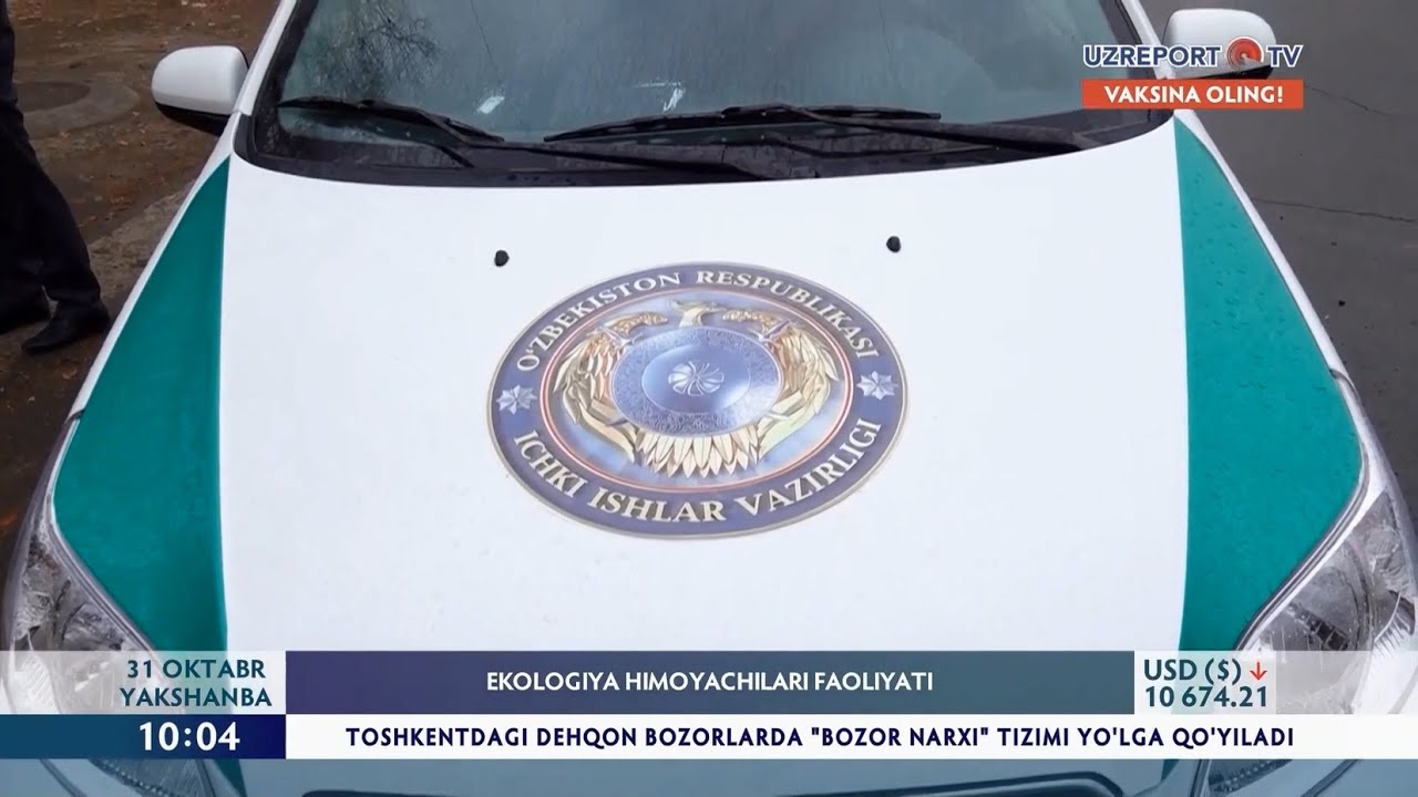 Ekologiya himoyachilari faoliyati