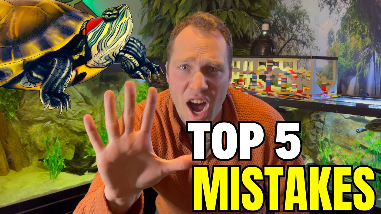 Top 5 Turtle Keeping Mistakes and How to Avoid These Common Pitfalls
