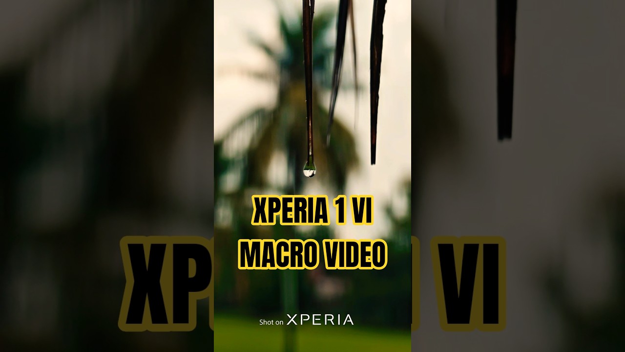 SONY XPERIA 1VI MACRO VIDEO