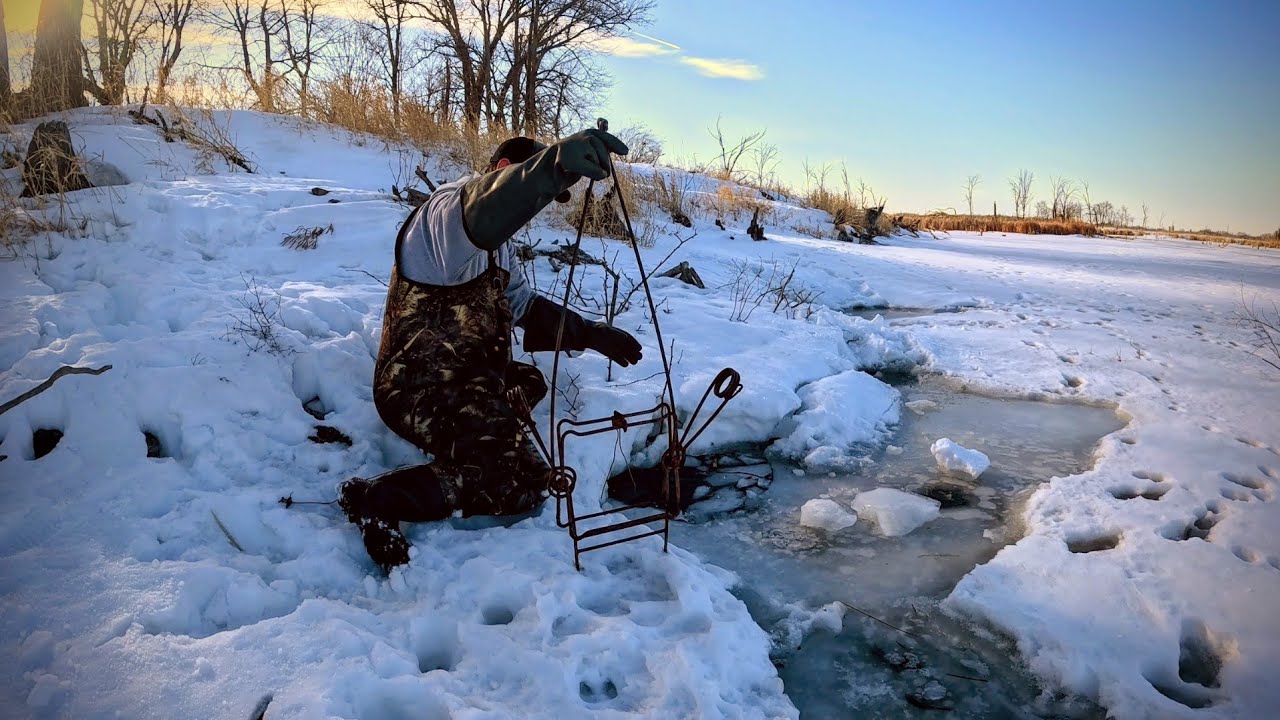 Late Winter Beaver Trapping these Bank Beavers (Multiple Catches)