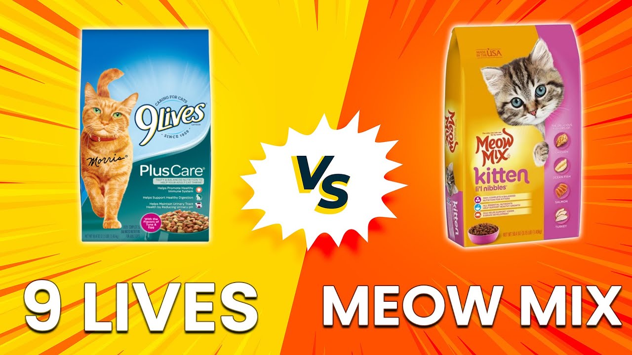 9 Lives vs Meow Mix - Pet Food Brand Comparison (Which One Should You Pick?)