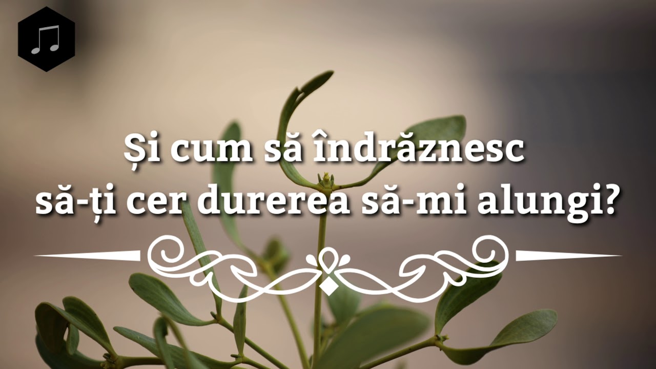 Ionel Bonta - Dumnezeule te rog