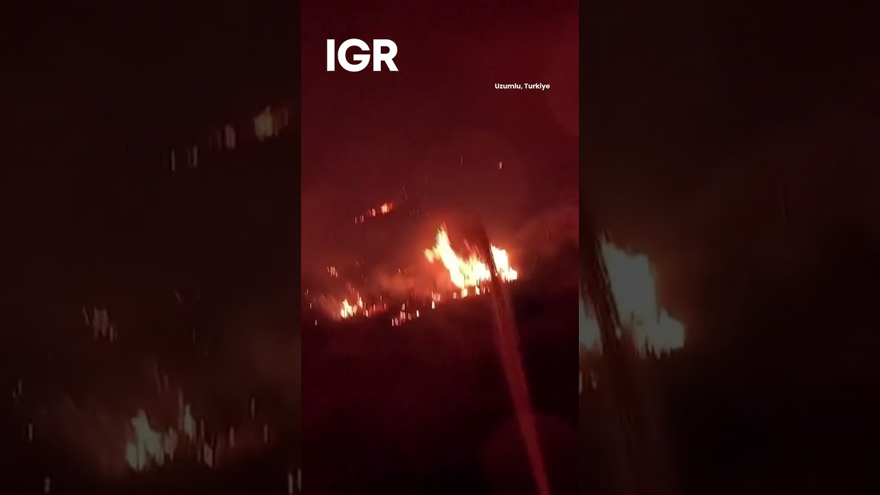 Watch: Turkish Firefighters In Action Against Wildfires | IGR | India Global Review