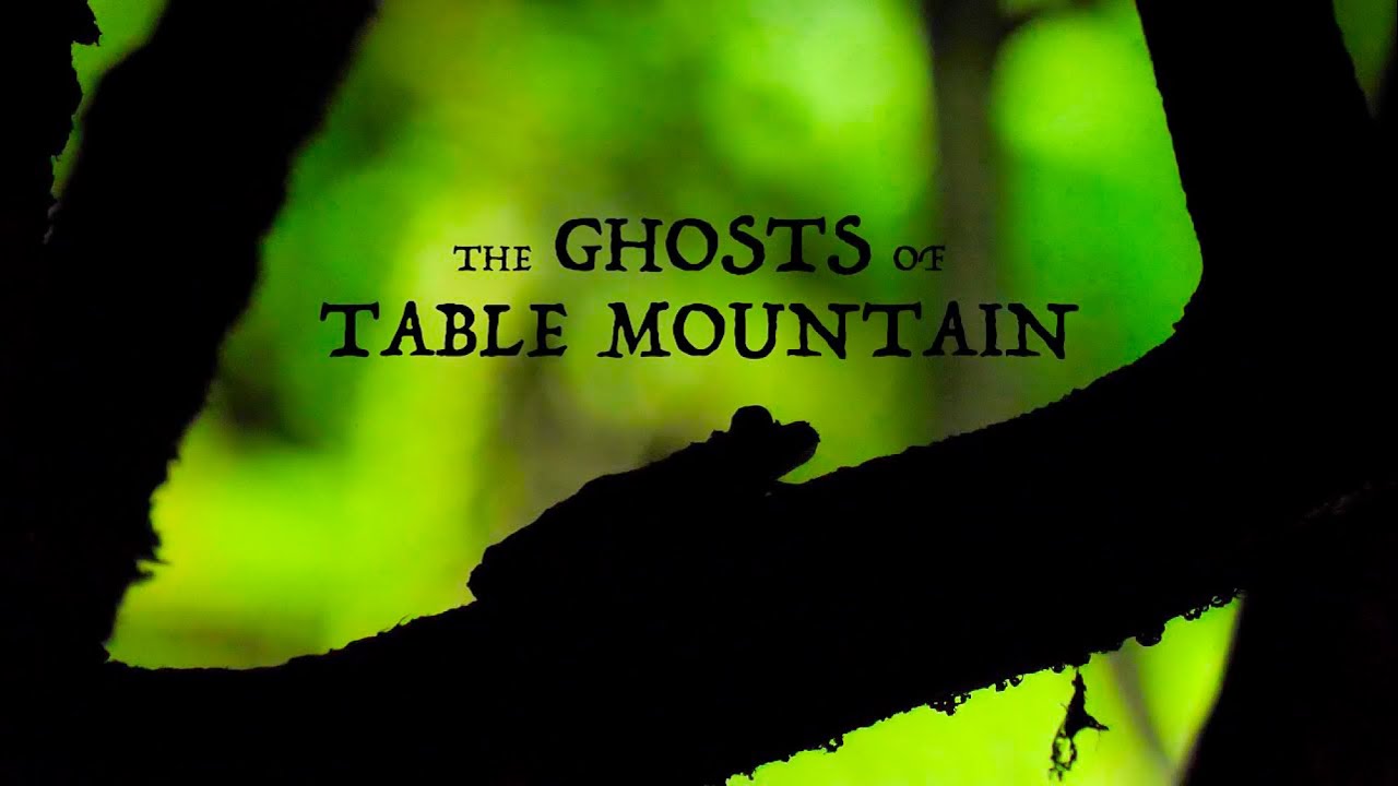 The Ghosts of Table Mountain