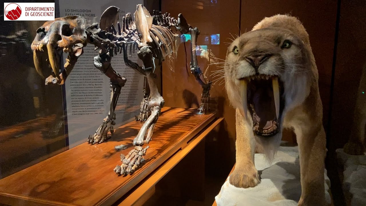 Alla scoperta del Museo della Natura e dell'Uomo