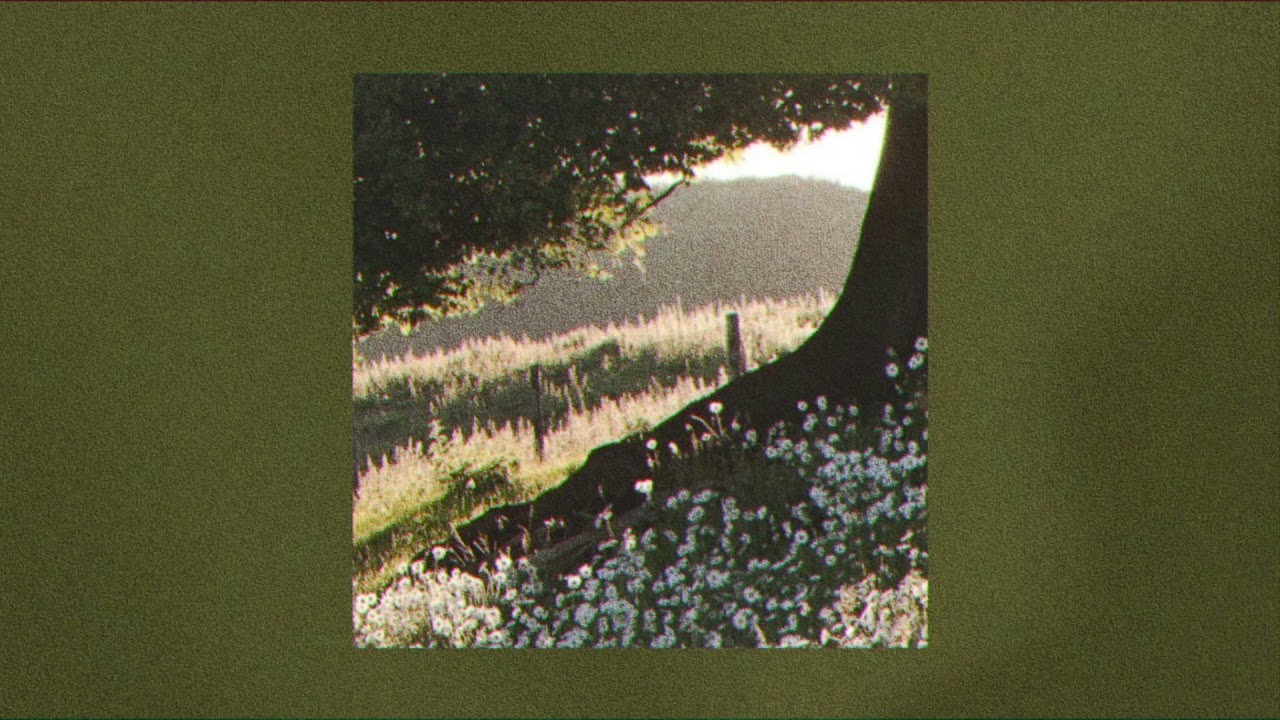 𝒘𝒊𝒍𝒅𝒇𝒍𝒐𝒘𝒆𝒓𝒔 - folklore/evermore type instrumental