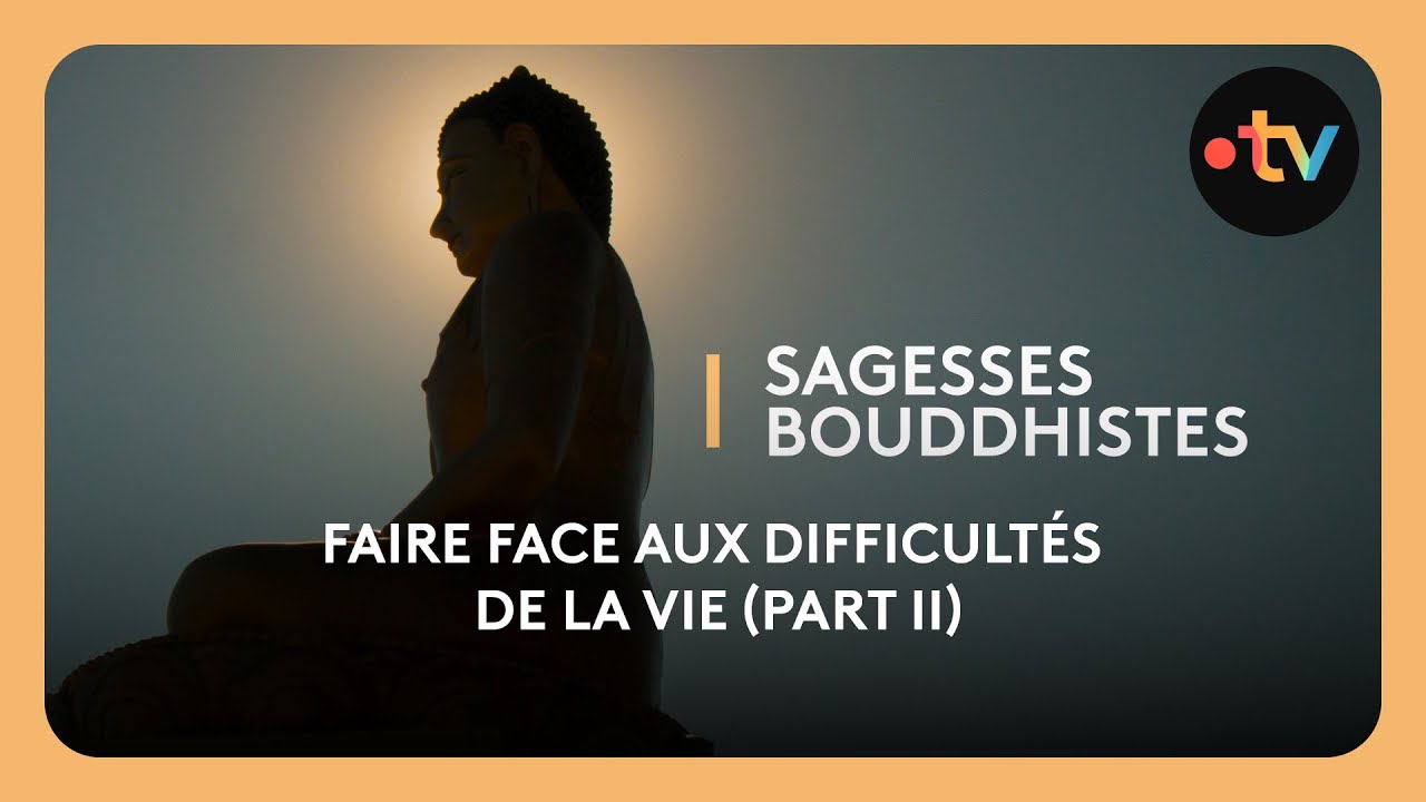 Faire face aux difficult&eacute;s de la vie (2e partie)