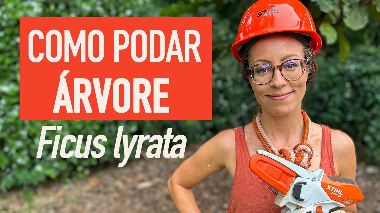 Como PODAR ÁRVORE do JEITO CERTO em 3 PASSOS
